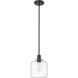 Asheville 1 Light 8 inch Matte Black Mini-Pendant Ceiling Light